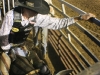 Kiwanis rodeo 2008