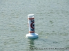 Slow No Wake buoy just outside the entrance to the Marina Basin in the Cumberland River.