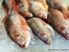Fresh whole fish varieties are available