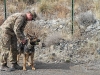 Staff Sgt. Mathhew Phillips, an infantryman dog handler assigned to 3rd Brigade Combat Team “Rakkasans,” 101st Airborne Division (Air Assault), prepares to unleash Sgt. 1st Class Rocky to demonstrate the technique military working dogs use to find road side bombs while at Forward Operating Base Salerno, Afghanistan, Feb. 26, 2013. Phillips and Rocky are apart of the Tactical Explosive Detection Dog program also known as the TEDD program, which trains Soldiers to work hand-in-hand with military working dogs. (U.S. photo by Spc. Brian Smith-Dutton Task Force 3/101 Public Affairs)