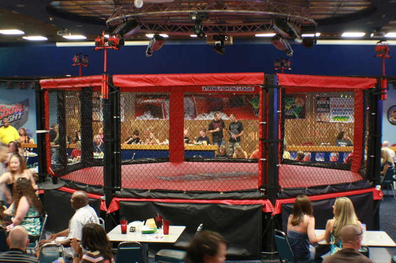 The ring where the fights are to be held