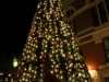 Montgomery County Christmas Tree Lighting Ceremony