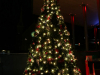 2017 Montgomery County Christmas Treet Lighting (22)