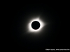 Montgomery County's RichEllen Park Total Solar Eclipse Viewing Party