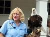 Dale Stokes with a Bald Eagle