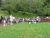 Native Amphibians and Reptiles show