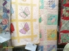 Quilt show at Quilt and Sew at Golden threads in Trenton, KY.