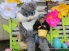 Yellow Creek Baptist Church's Community Easter Egg Hunt