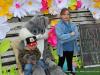 Yellow Creek Baptist Church's Community Easter Egg Hunt