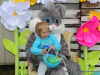 Yellow Creek Baptist Church's Community Easter Egg Hunt