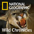 National Geographic Presents: Wild Chronicles (Video)