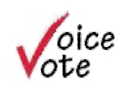 Voice Vote