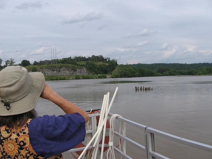 Kitty watching eagle Clarksville Online Clarksville News, Sports