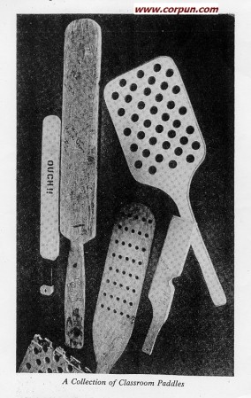 paddles-best
