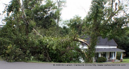 A Osage orange tree has fallen into the yard of a home on Powers street in Clarksville, TN