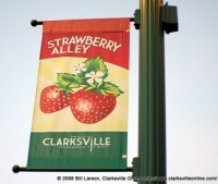 strawberry-alley-1