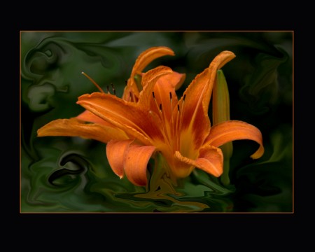 3-d-flower-tiger-lily