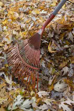 leaves-rake