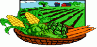 produce-basket