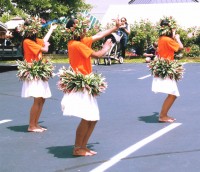 Hawaiian Islands Folk Dancers