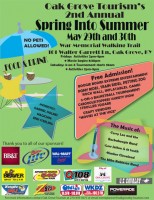 Spring into Summer Festival poster