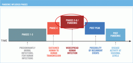 phases5-6