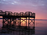 Paris Landing State Park