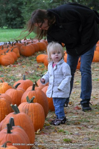 A mother and daughter look for the perfect Pumpkin at Boyd's Pumpkin Patch on Saturday October 10th.