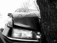 A car crashed into a tree