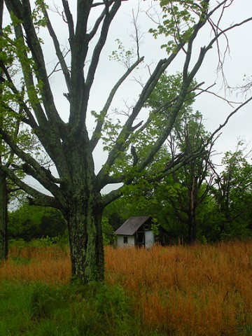 Smith Brothers Road