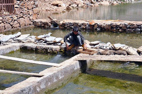 A local worker, from the Doabe Khwak village, feeds fish in a Paryan District fish farm. The Kentucky National Guard Agribusiness Development Team and Panjshir Provincial Reconstruction Team are teaming up with a local entrepreneur to educate him on modern techniques and apply for a grant to expand his business. (Photo by U.S. Air Force 1st Lt. Holly Hess, Panjshir PRT Public Affairs)