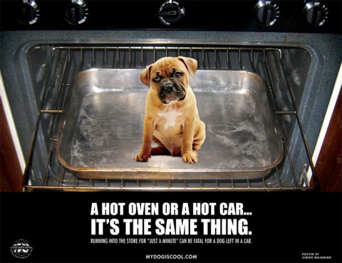 A Hot Oven or a Hot Car - It's the Same Thing.