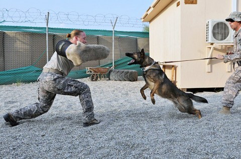 Staff Sgt. Sabrina Lindahl and Doly. (Photo by U.S. Army Spc. Richard Daniels Jr., Task Force Bastogne Public Affairs)