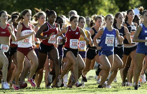 Austin Peay women's cross country team finished 23rd at the Brooks Memphis Twilight, Saturday night. (Courtesy: Keith Dorris/Dorris Photography)