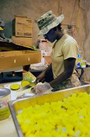 U.S. Army Pfc. Ashley N. Crim, a Valley, AL, native prepares freshly cut pineapple for Soldiers stationed at Forward Operating Base Tillman here Sept. 10th. (Photo by U.S. Army Spc. Luther L. Boothe Jr., Task Force Currahee Public Affairs, 4th Brigade Combat Team, 101st Airborne Division)