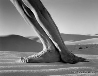 White Sands, New Mexico 2000