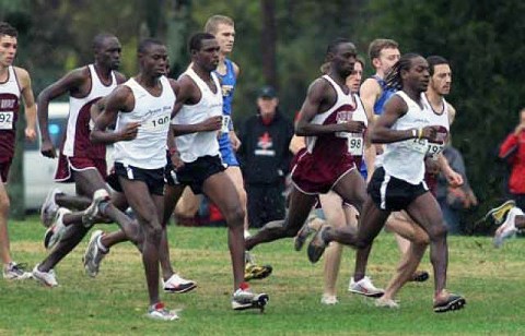 Austin Peay State University men’s cross country team