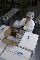 A Hemlock Semiconductor worker packages polysilicon to be shipped to a customer. 