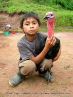 A young boy and his friend