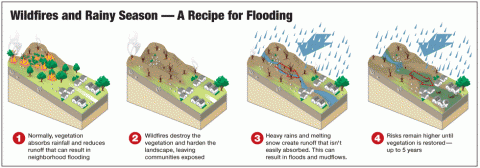 Recipe for Flooding