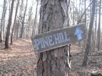 Pine Hill, Fort Henry, Land Between the Lakes