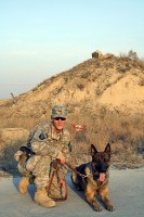 Parwan Province, Afghanistan — U.S. Air Force Staff Sgt. Patrick D. Spivey teamed with Bodro, a 2-year-old Belgian Malinois, pause for a photo outside a mine field in Bagram Airfield Dec. 15th. Spivey and Bodro will be with TF Currahee until the end of 4th BCT’s rotation. (Courtesy photo)