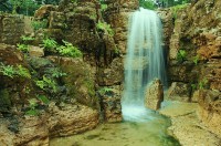 Anthony Archer-Wills’s water garden.