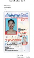 Identification Card