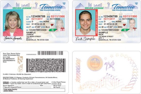 New Drivers Licenses