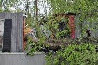 Two trees fell down on this trailer located on Batts Lane. (Photo by Jim Knoll-CPD)