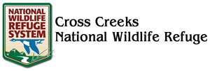 Cross Creeks National Wildlife Refuge