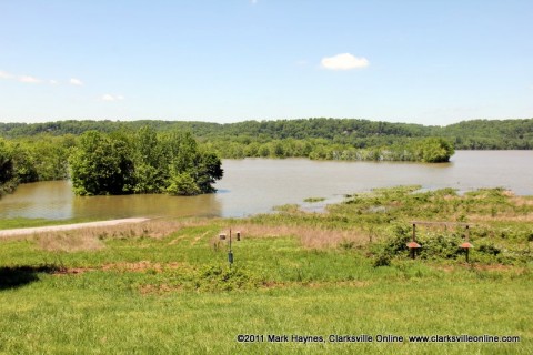 A view of Cross Creeks National Wildlife Refuge from the Refuge Headquarters showing the road into cross creeks underwater.