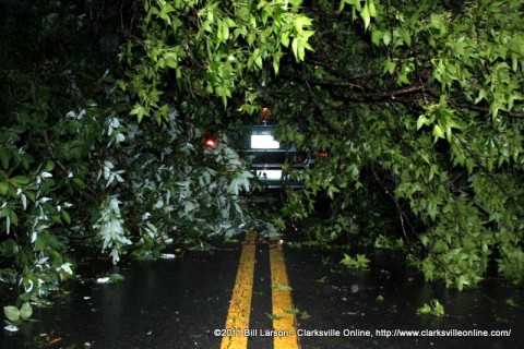 The car trapped under a fallen tree on Zinc Plant Road