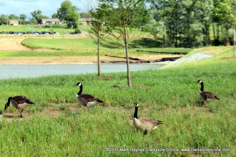 Some of the local residents out enjoying Liberty Park.